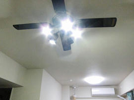 IMG03914.jpg