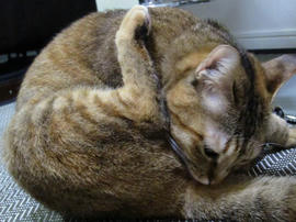 IMG03916.jpg