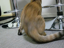 IMG03918.jpg