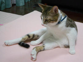 IMGP8795.jpg