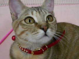 IMGP8801.jpg
