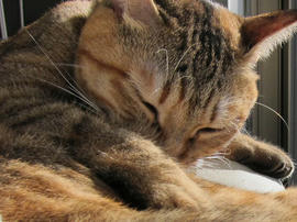 IMG00393.jpg