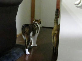IMG03919.jpg