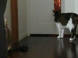 IMG03920.jpg
