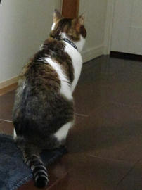 IMG03921.jpg