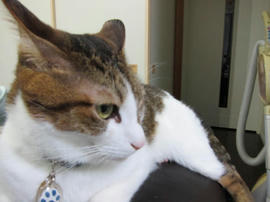 IMG03927.jpg