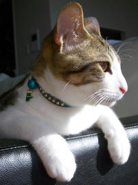 IMGP8841.jpg