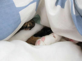 IMG03928.jpg