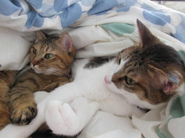 IMG03929.jpg
