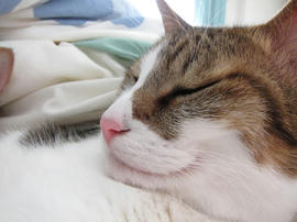IMG03931.jpg
