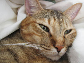 IMG03933.jpg