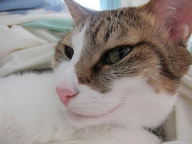 IMG03934.jpg