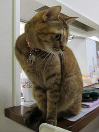 IMG03935.jpg