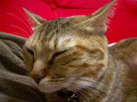 IMGP12662.jpg