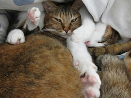IMG03936.jpg