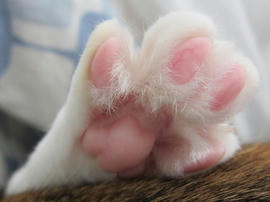 IMG03937.jpg