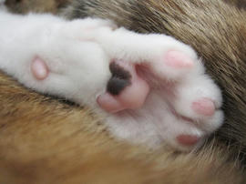 IMG03938.jpg