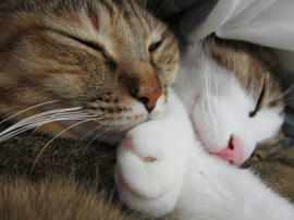 IMG03943.jpg