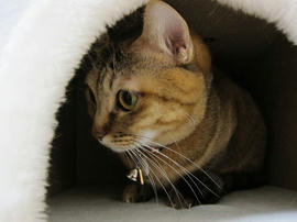IMG03945.jpg