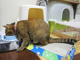 IMG03948.jpg