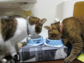 IMG03949.jpg