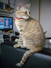 IMGP8913.jpg