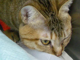 IMGP12675.jpg