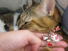 IMG03950.jpg