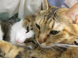 IMG03951.jpg