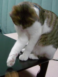 IMGP8927.jpg
