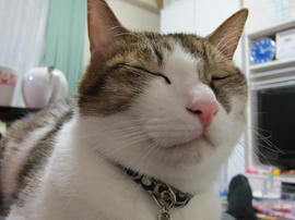 IMG03954.jpg