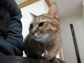 IMG03961.jpg
