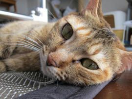 IMG03962.jpg