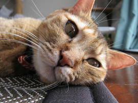 IMG03964.jpg