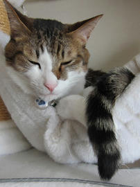 IMG03967.jpg