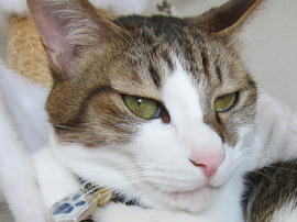 IMG03968.jpg