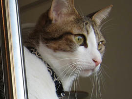 IMG00455.jpg