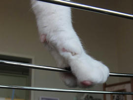 IMG00458.jpg
