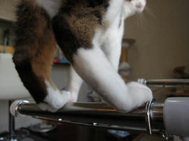 IMG00461.jpg
