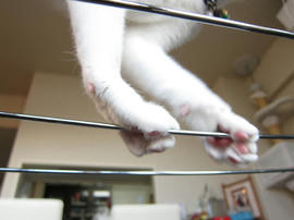 IMG00463.jpg