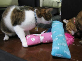 IMG03970.jpg