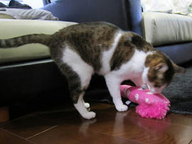 IMG03971.jpg