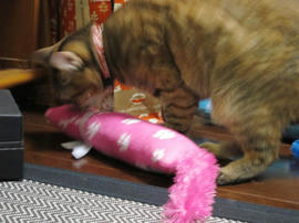 IMG03974.jpg