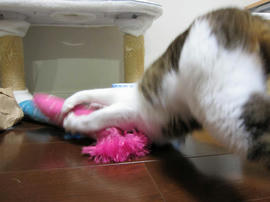 IMG03978.jpg
