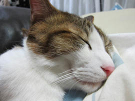 IMG03980.jpg