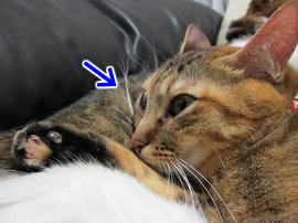 IMG03984.jpg