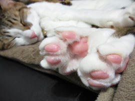 IMG03986.jpg