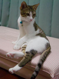 IMGP8978.jpg
