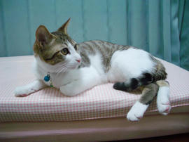 IMGP8997.jpg