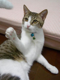 IMGP9006.jpg